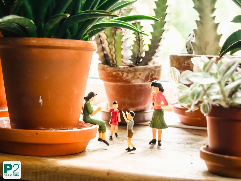 Miniaturfiguren zwischen Blumentöpfen mit Kakteen und Sukkulenten auf einem Tisch.