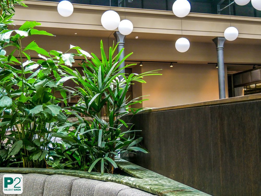 Üppige grüne Pflanzen im modernen Bürogebäude