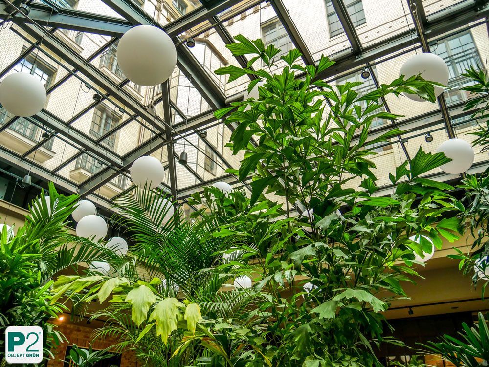 Üppige grüne Pflanzen im modernen Bürogebäude