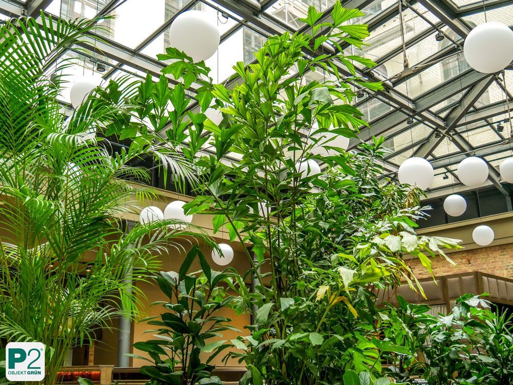 Üppige grüne Pflanzen im modernen Bürogebäude