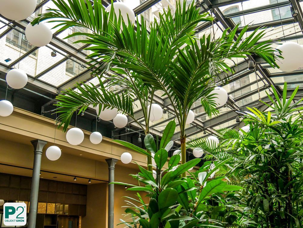 Üppige grüne Pflanzen im modernen Bürogebäude