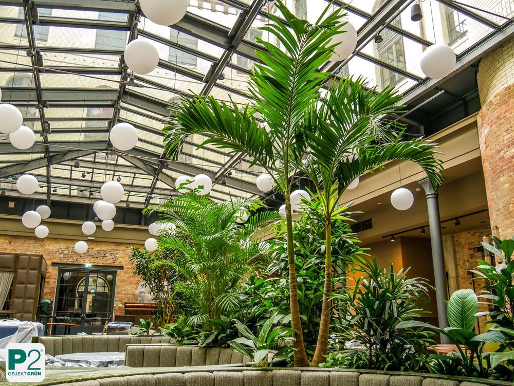 Üppige grüne Pflanzen im modernen Bürogebäude
