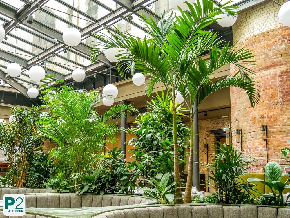 Üppige grüne Pflanzen im modernen Bürogebäude