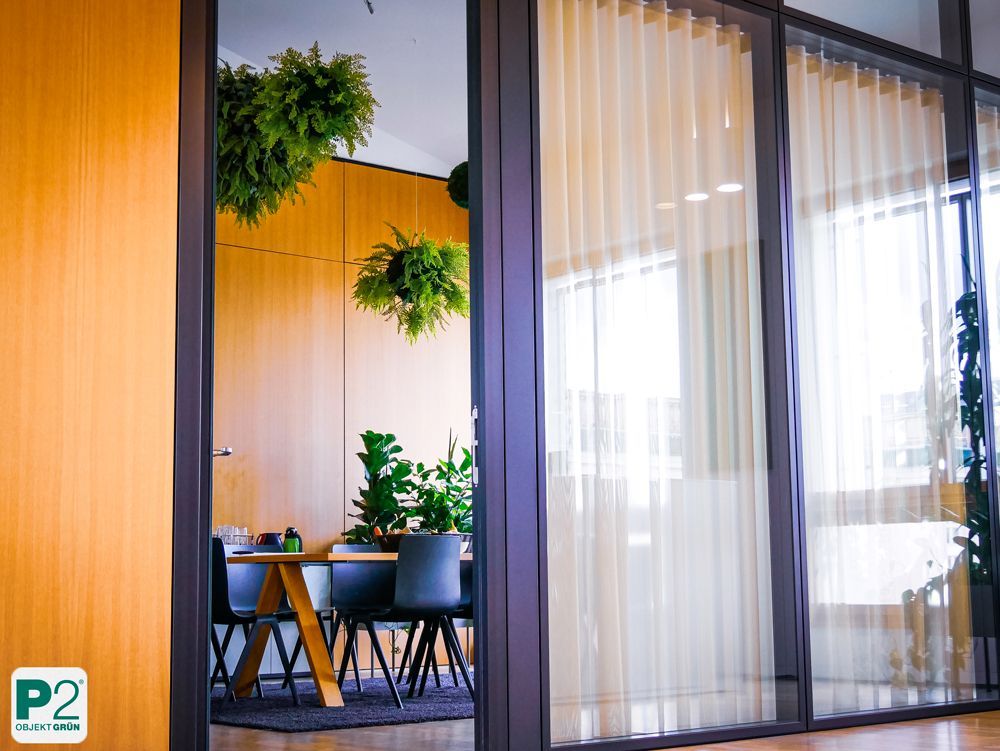 Modernes Büro mit hängenden Pflanzen und einem Tisch