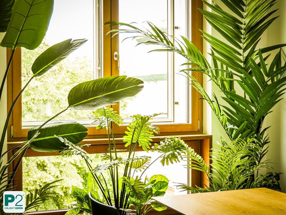 Modernes Büro mit grünen Pflanzen und einem hellen Raum.