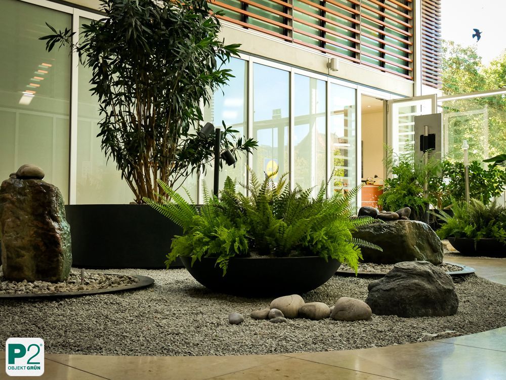 Moderne Pflanzen in eleganten Blumentöpfen im Innenraum.