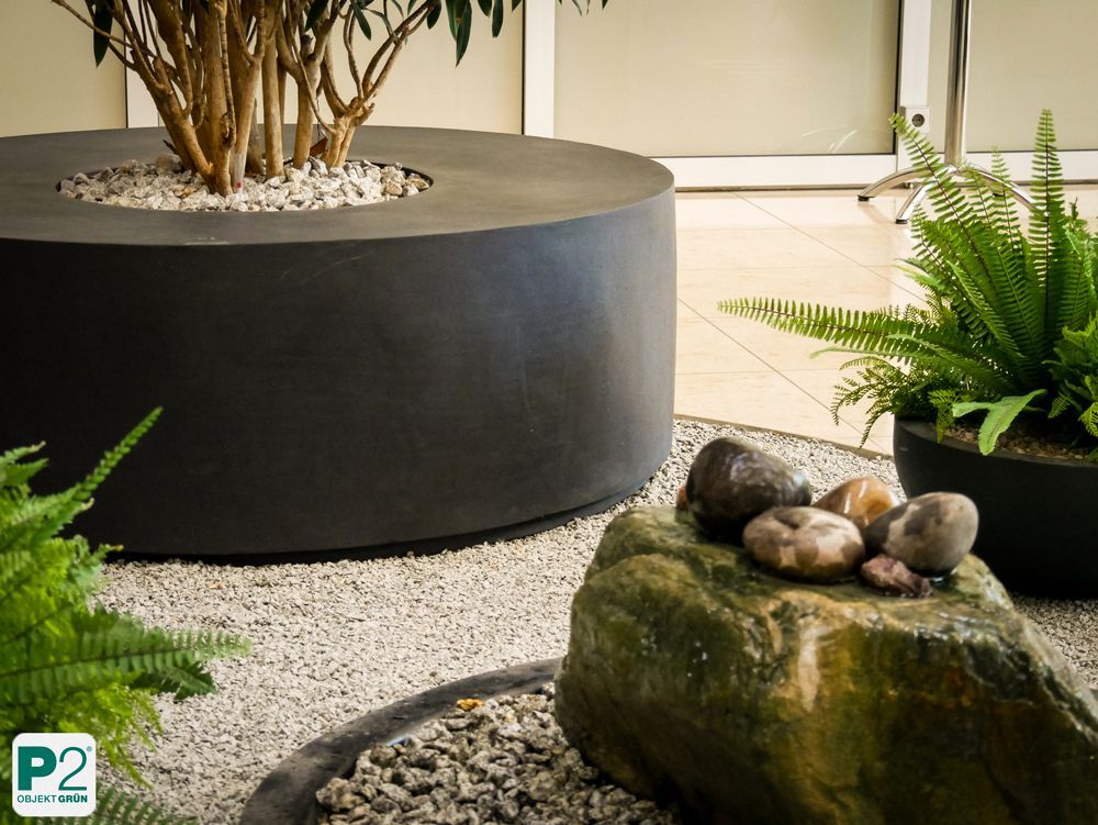 Moderne Pflanzen in eleganten Blumentöpfen im Innenraum.