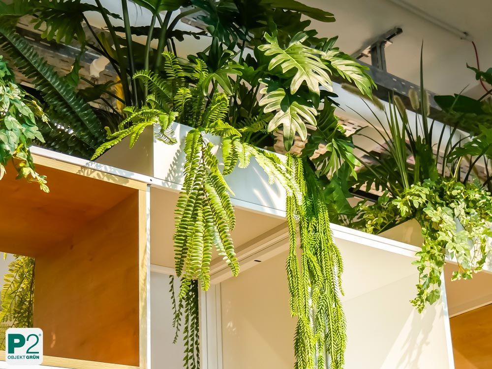 Bunte Pflanzen in Töpfen an einer Wand mit dem Wort 'VERTRAUEN'