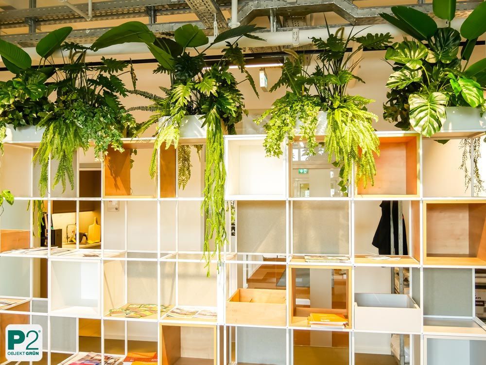 Regal mit hängenden grünen Pflanzen in einem modernen Büro, P2 Objekt Grün Logo unten links