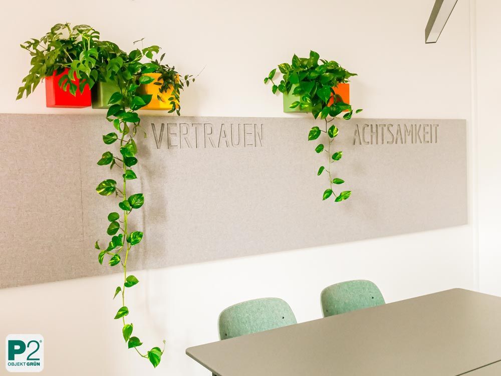 Modernes Büro mit Pflanzen und Wänden, die die Wörter Vertrauen und Achtsamkeit zeigen.