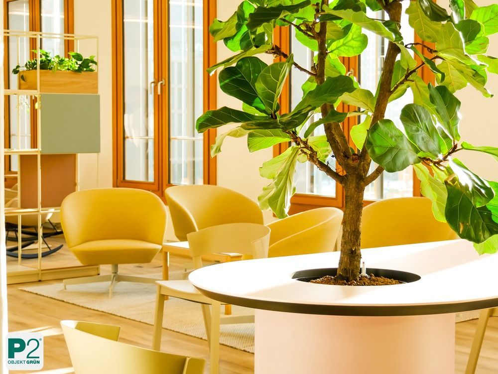 Lichtdurchfluteter Innenraum mit verschiedenen Topfpflanzen