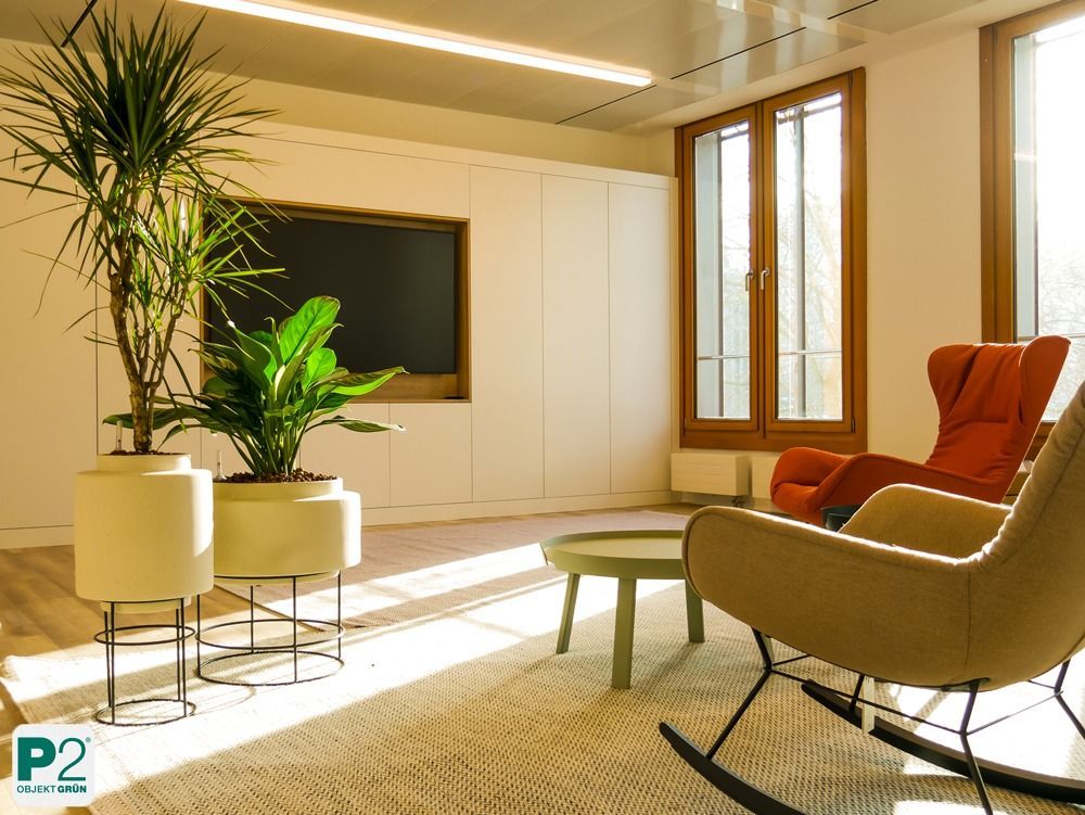 Lichtdurchfluteter Innenraum mit verschiedenen Topfpflanzen