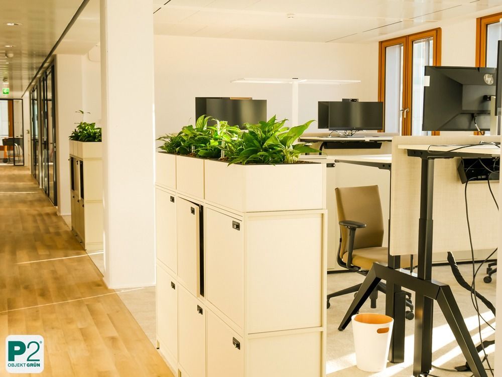 Lichtdurchfluteter Innenraum mit verschiedenen Topfpflanzen