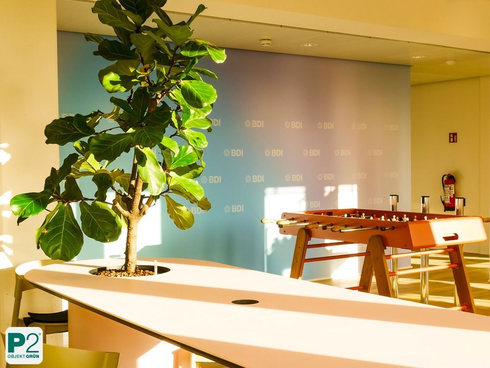 Lichtdurchfluteter Innenraum mit verschiedenen Topfpflanzen