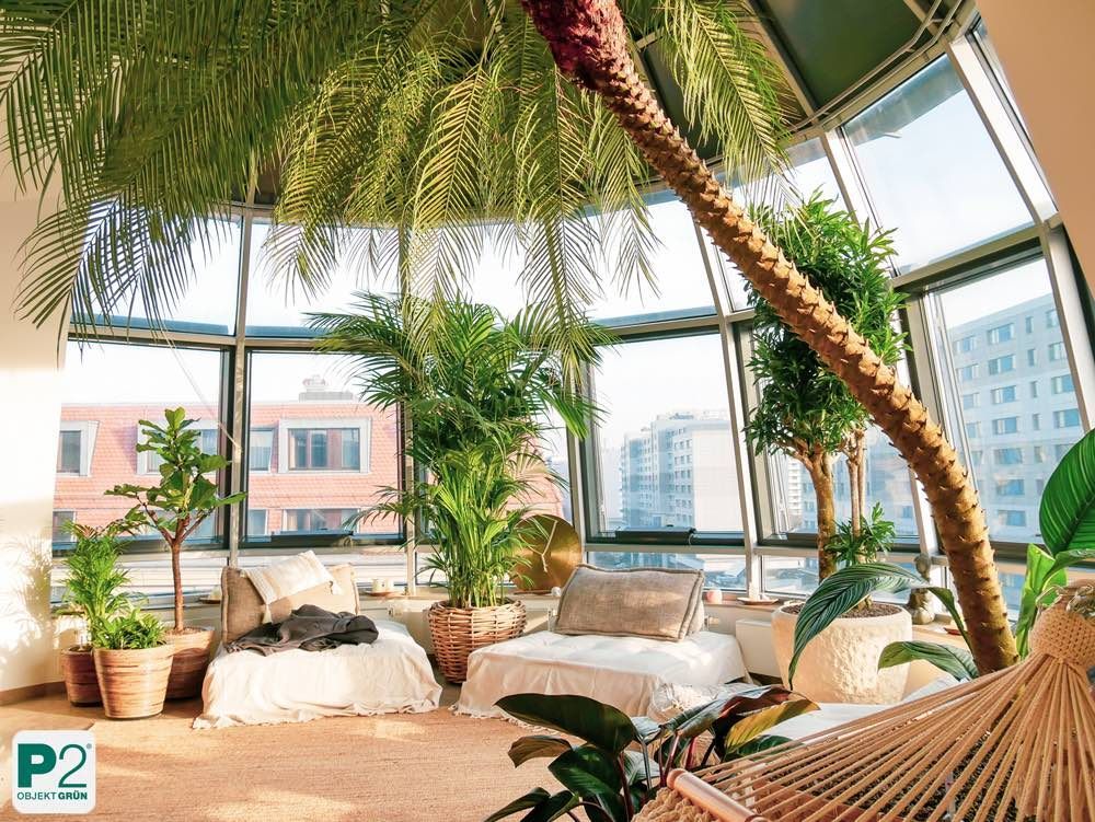 Wintergarten mit großen Fenstern, vielen Zimmerpflanzen und gemütlichen Sitzgelegenheiten mit Kissen