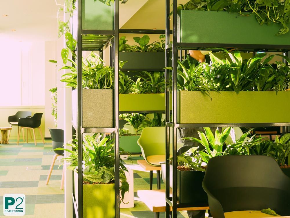 Bürobereich mit grünen Pflanzen in Regalen als Raumteiler, moderner Stuhl und Tisch, Tageslicht