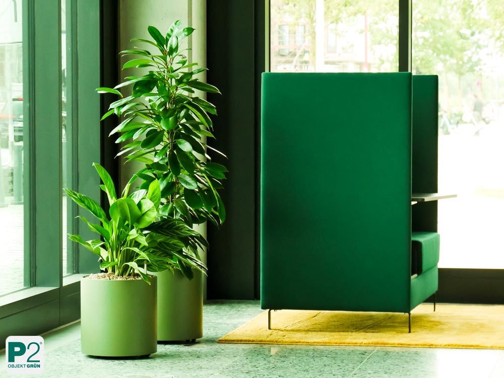 Moderne grüne Sitzgelegenheit in einem hellen Raum mit Pflanzen.