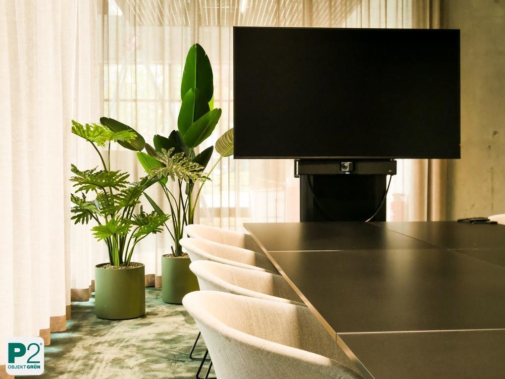 Helles Büro mit modernen Möbeln und grünen Pflanzen.