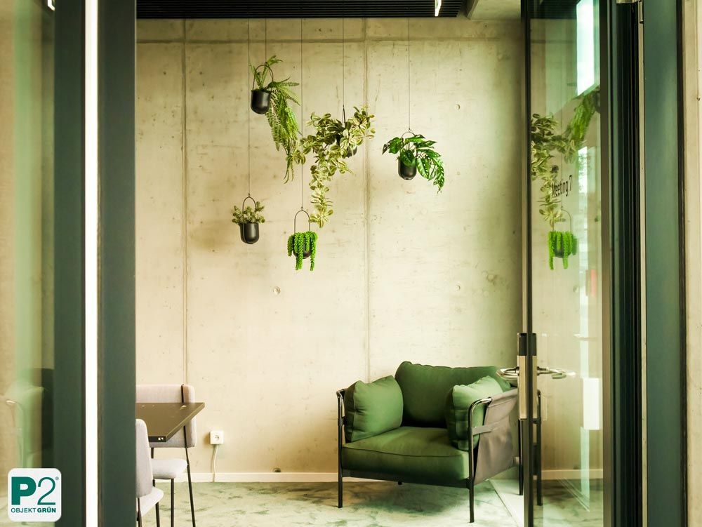 Grüner Wohnraum mit hängenden Pflanzen und einem gemütlichen Sessel.