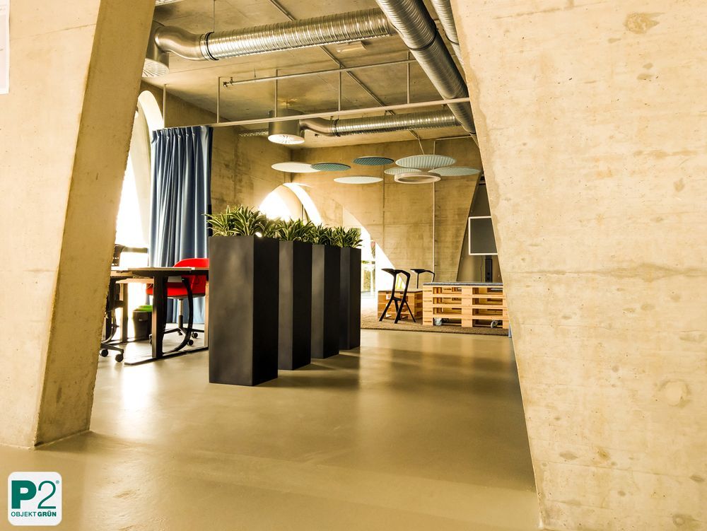 Moderner Büroraum mit Betonwänden, großen Fenstern, Topfpflanzen in schwarzen Pflanzgefäßen