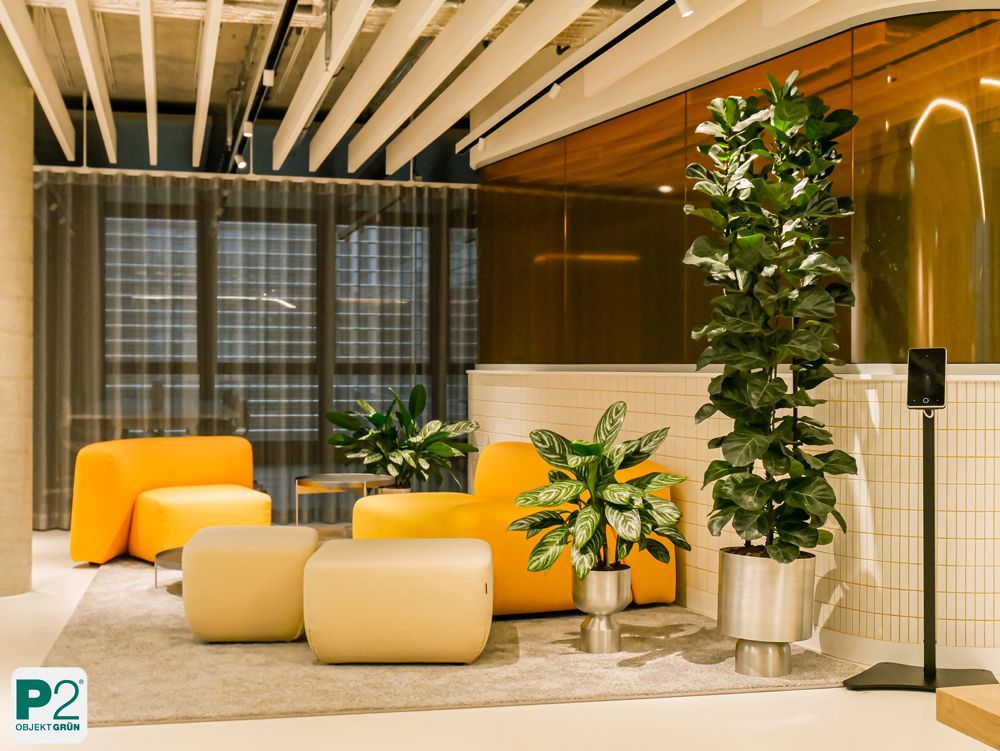 Modernes Büro mit orangefarbenen Sitzmöbeln und Pflanzen.