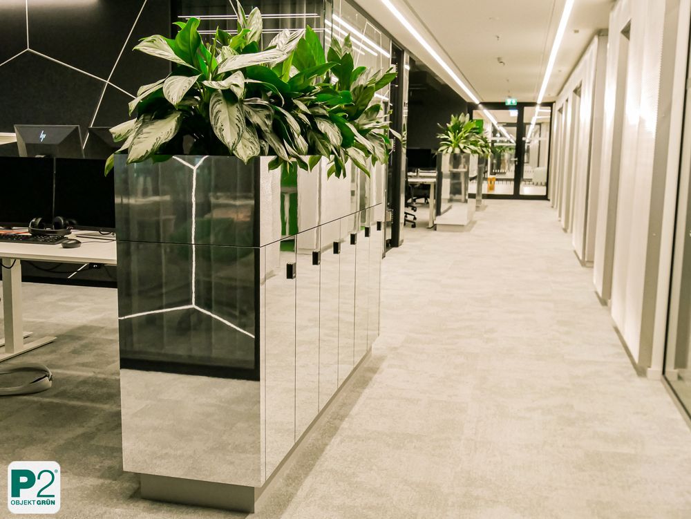 Modernes Büro mit Pflanzen und spiegelndem Schrank