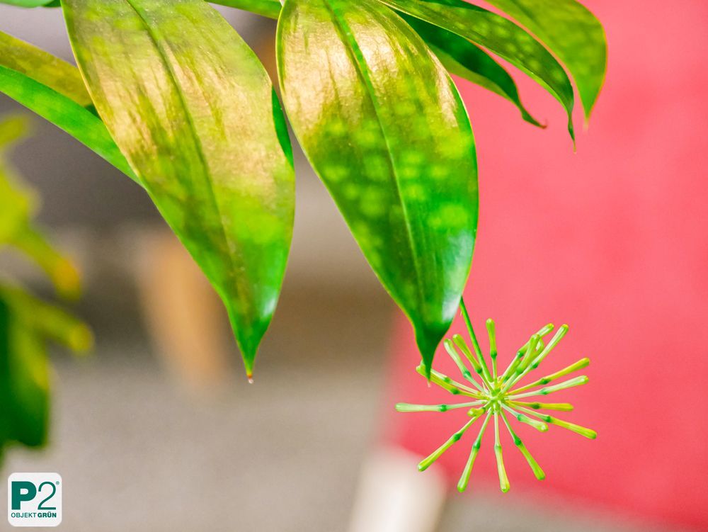 Nahaufnahme eines grünen Pflanzenblattes mit einzigartiger Form.