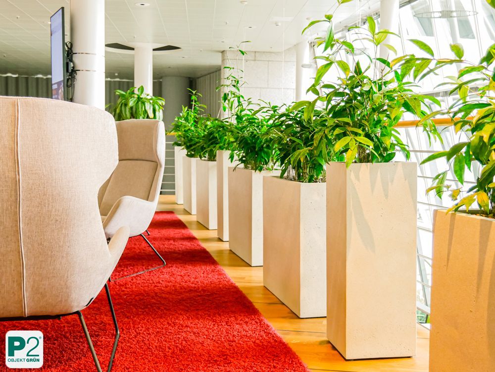 Helle Büroumgebung mit Pflanzen und gemütlichen Sesseln.