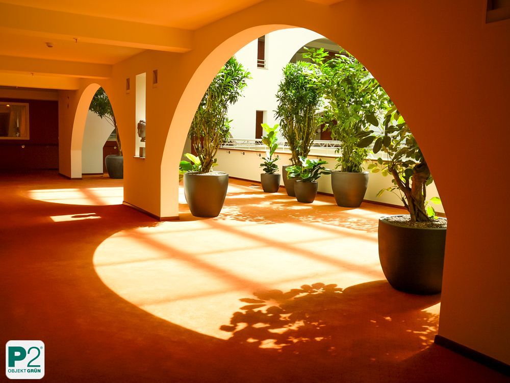 Lichtdurchfluteter Innenraum mit verschiedenen Topfpflanzen