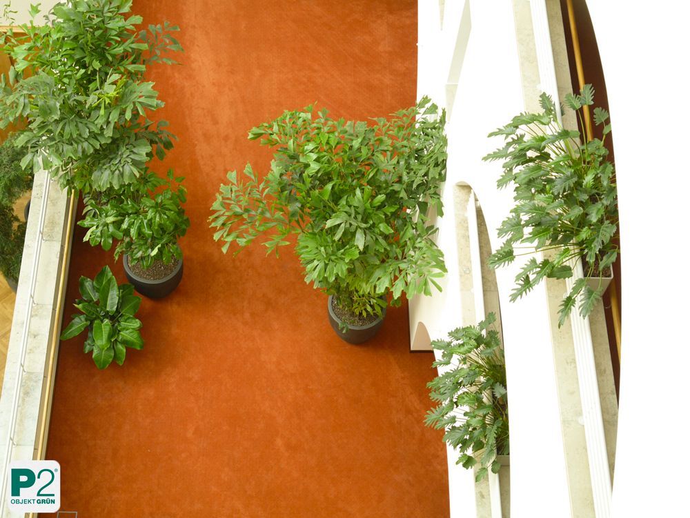 Lichtdurchfluteter Innenraum mit verschiedenen Topfpflanzen