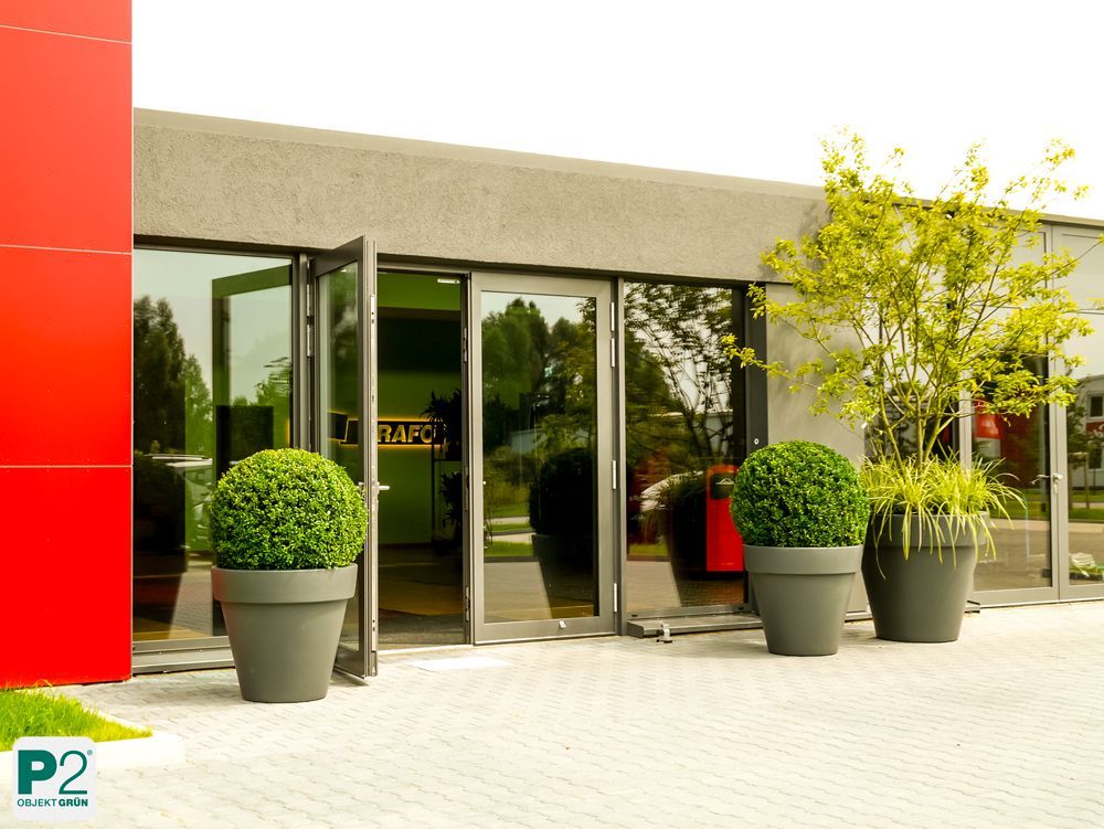Eingangsbereich eines modernen Gebäudes mit Pflanzen.