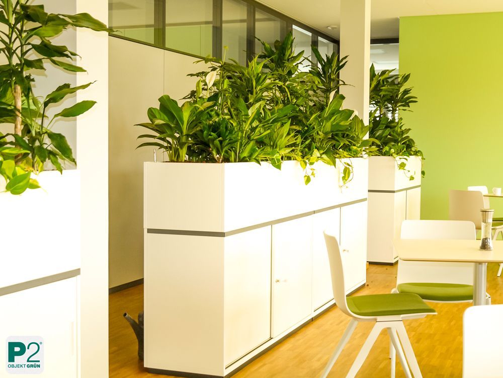 Moderner Innenraum mit Pflanzen