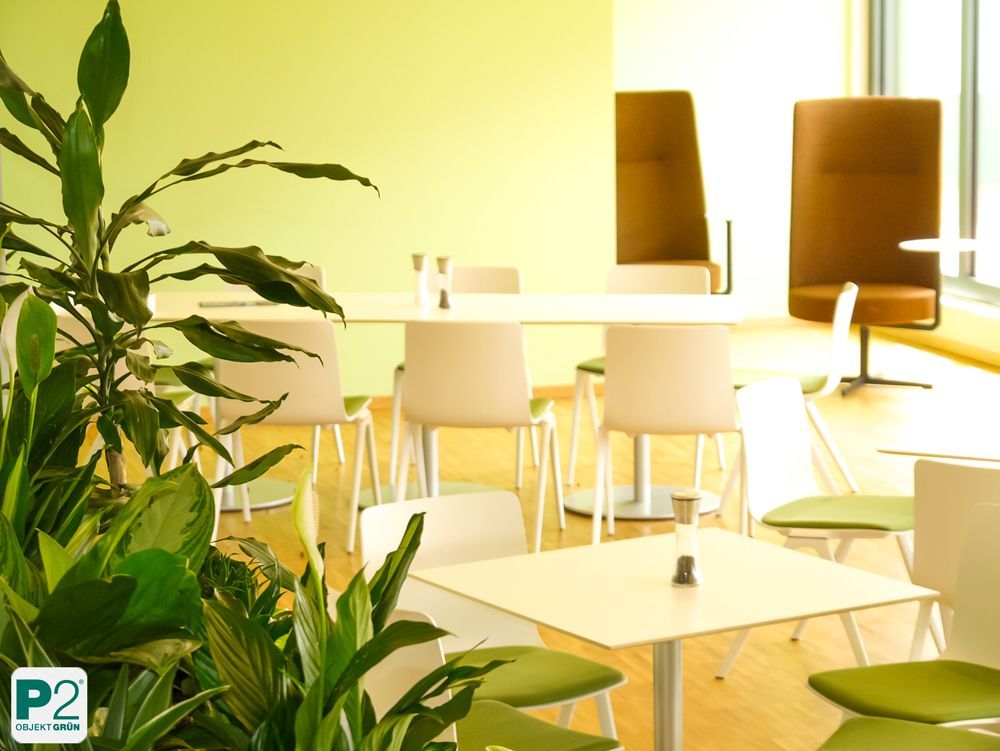 Heller Büroraum mit Pflanzen und modernen Möbeln.