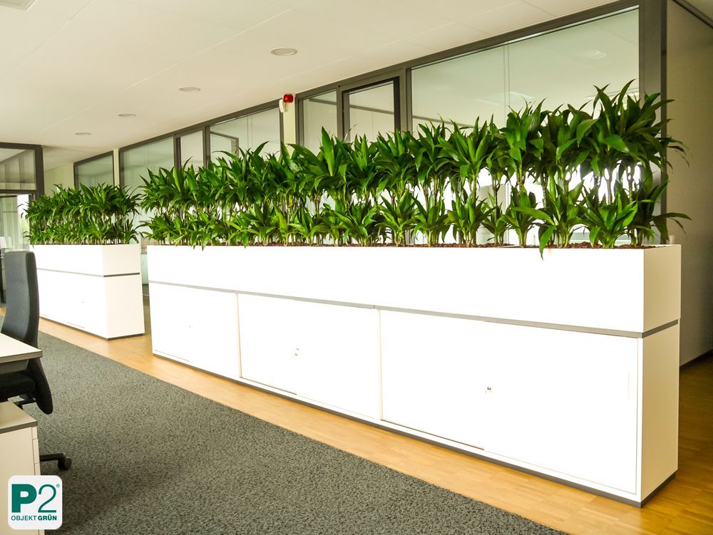 Grüner Pflanzkasten im modernen Büro mit Pflanzen.