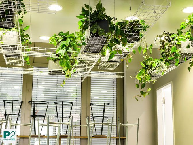 Grünes Pflanzenarrangement in einem modernen Raum