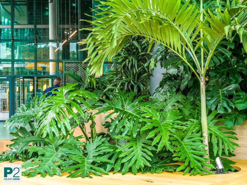 Üppige grüne Pflanzen im modernen Bürogebäude