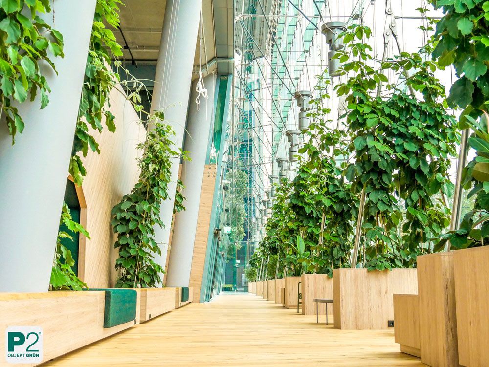 Grüne Pflanzen in einem modernen Innenraum mit Holzdetails.