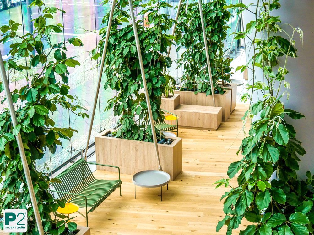 Grüne Pflanzen in einem modernen Innenraum mit Holzdetails.