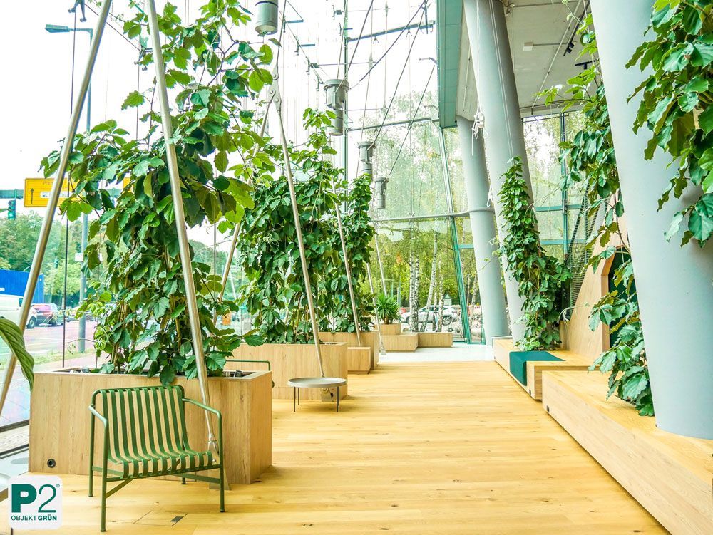 Grüne Pflanzen in einem modernen Innenraum mit Holzdetails.