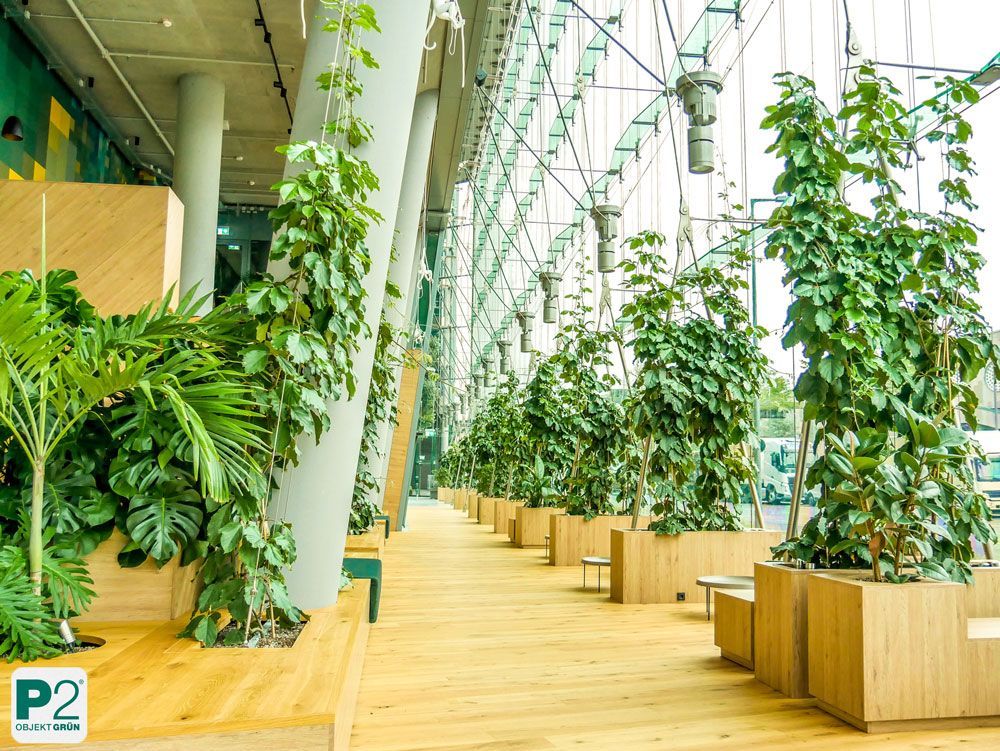 Grüne Pflanzen in einem modernen Innenraum mit Holzdetails.