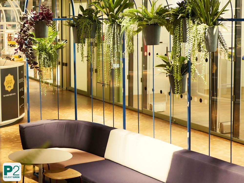 Hängende Pflanzen in modernen Töpfen im Innenraum