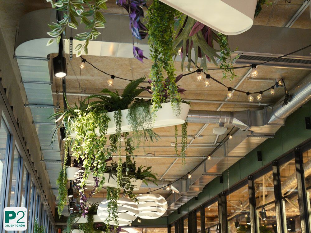 Moderne Innenraumgestaltung mit hängenden Pflanzen und Beleuchtung.