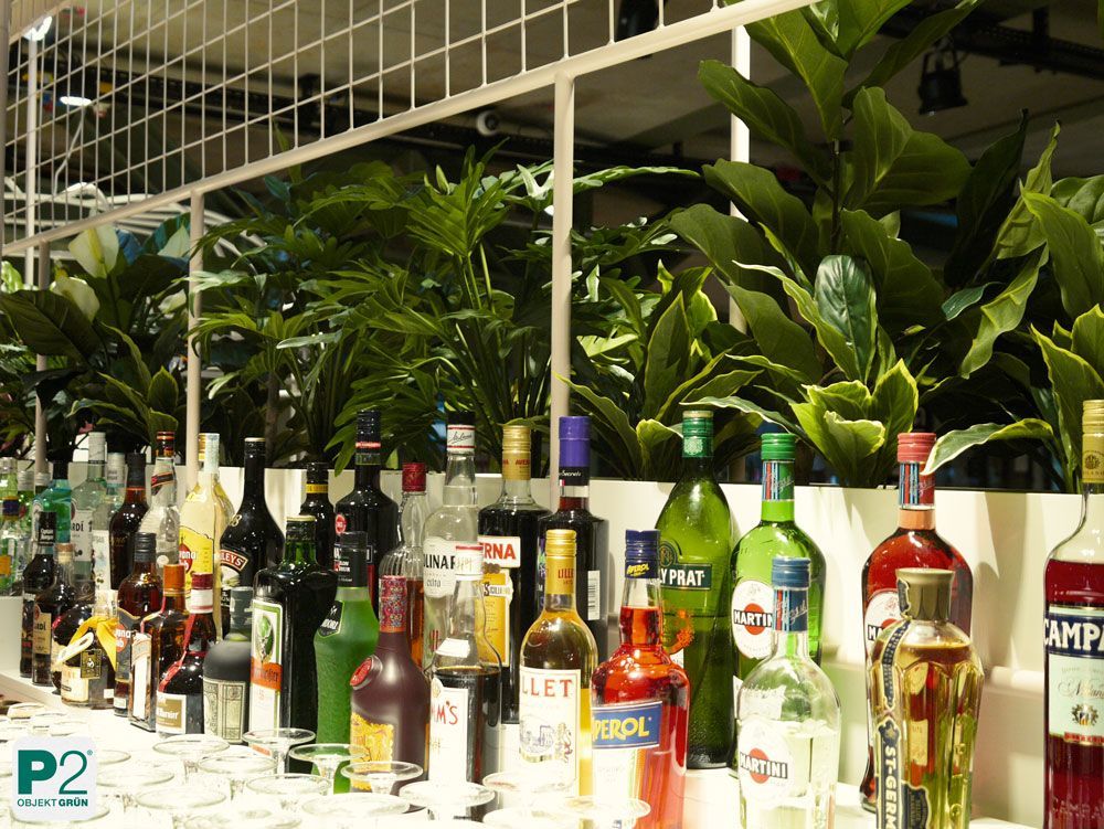 Auswahl an verschiedenen Getränken an einer Bar mit Pflanzen im Hintergrund.