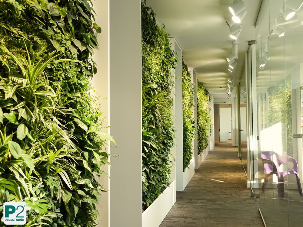 Moderne grüne Wandgestaltung im Büro mit Pflanzen