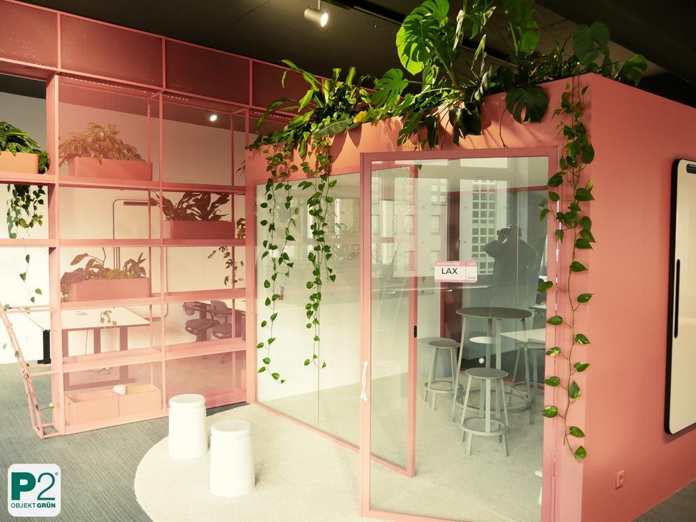 Eine grüne Pflanze vor einer roten Wand mit Netzstruktur.