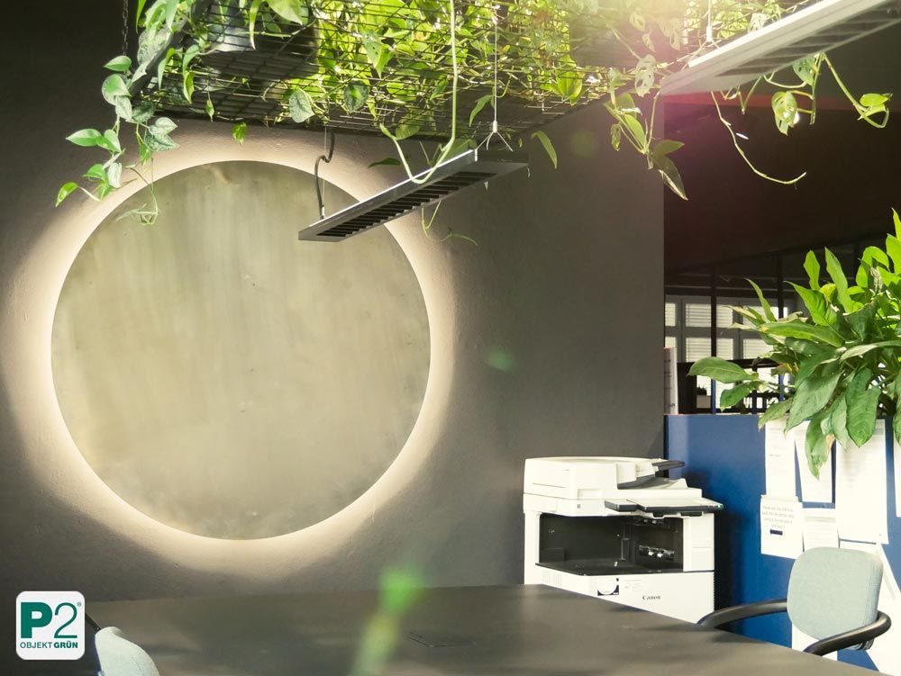 Dekorative grüne Pflanzen in einem modernen Raum