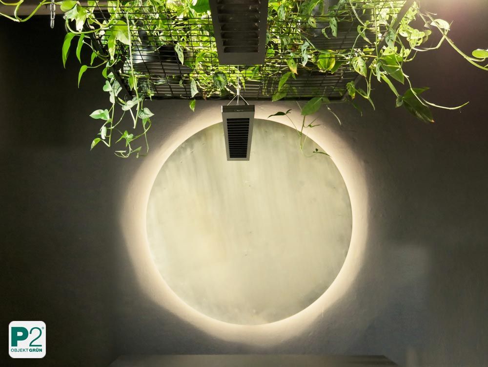 Dekorative grüne Pflanzen in einem modernen Raum