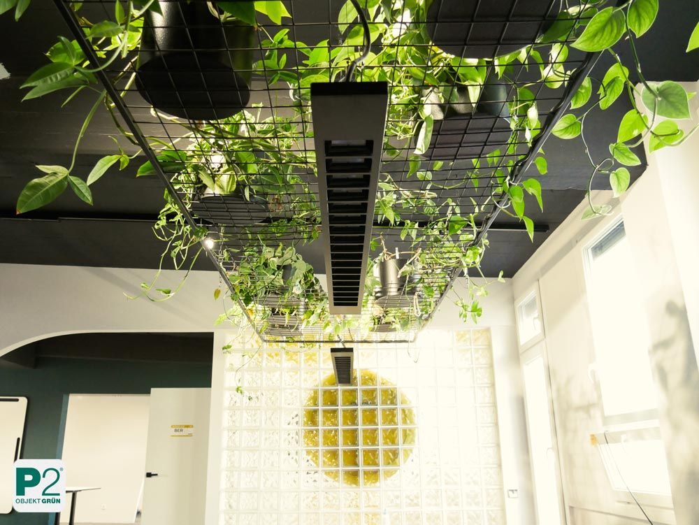 Helles Büro mit Pflanzen und natürlichem Licht.