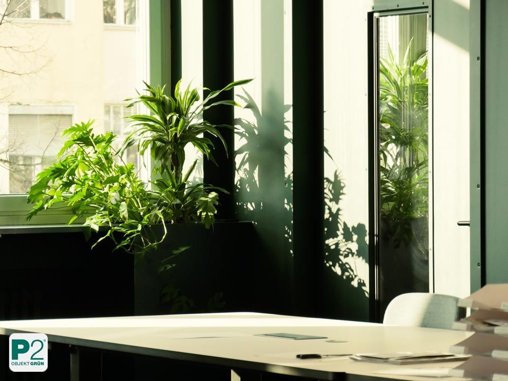 Helles Büro mit Pflanzen und natürlichem Licht.