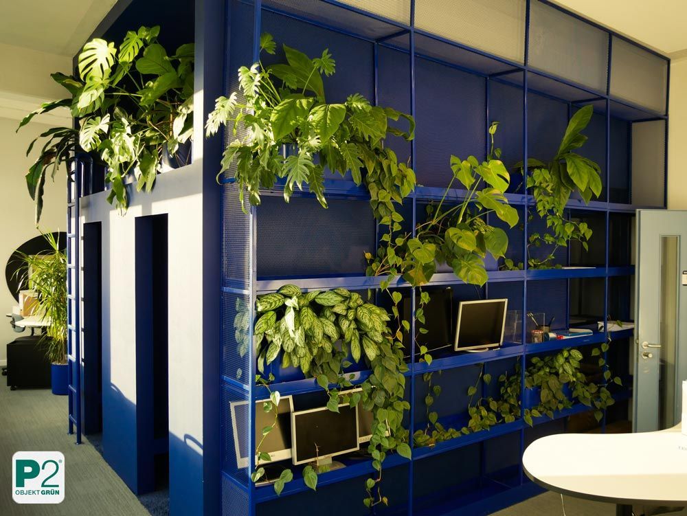 Modernes Büro mit blauen Regalen und vielen Pflanzen.